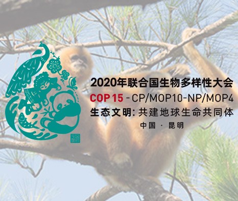 2020年聯合國生物多樣性大會（海南展館）